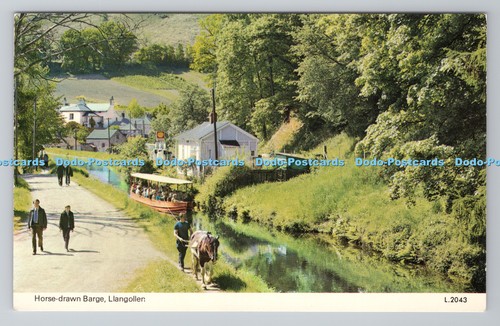R787648 llangoller horse - llangoller.,