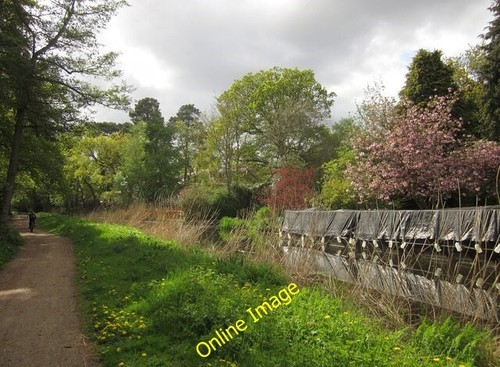 Photo 6x4 basingstoke canal - 6x4,