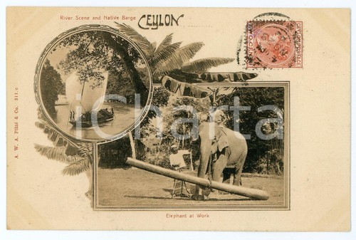 1903 ceylon sri lanka - 1903,