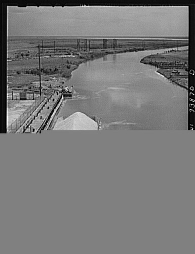Photo grand ecaille louisiana - photo:grand,