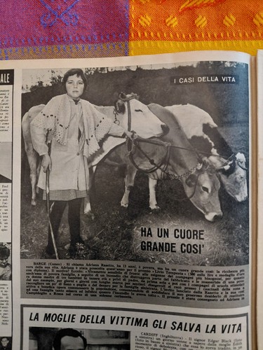 Clipping 1963 barge - clipping, wedge
