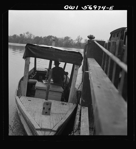 Photo knoxville tennessee - photo:knoxville,