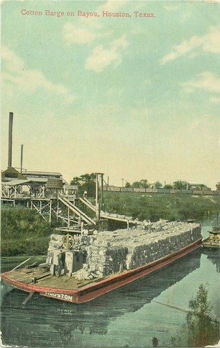Houston texas cotton - cotton, on